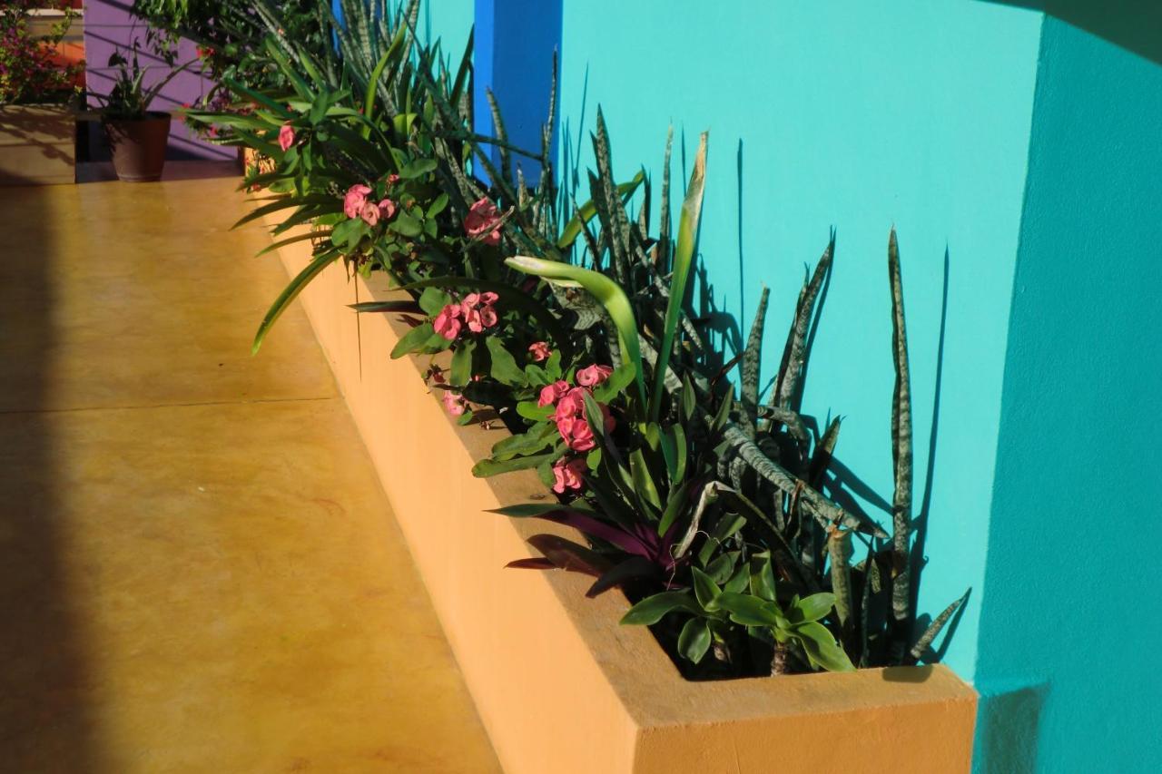 Hotel Arcoiris Tulum Ngoại thất bức ảnh